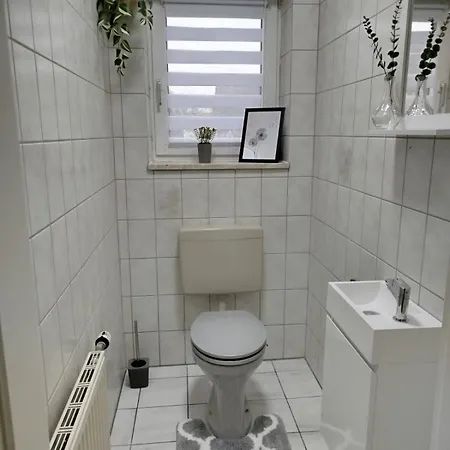 Kuestenbaer